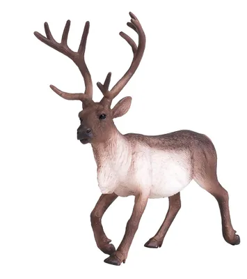 Produktbild von Mojo Fun Reindeer, 3 Jahr(e), Wildlife, Braun, Polyvinylchlorid (PVC)