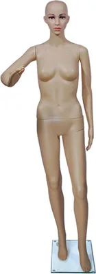 Produktbild von Schaufensterpuppe Schaufensterfigur Mannequin Schneiderpuppe Puppe beweglich F5