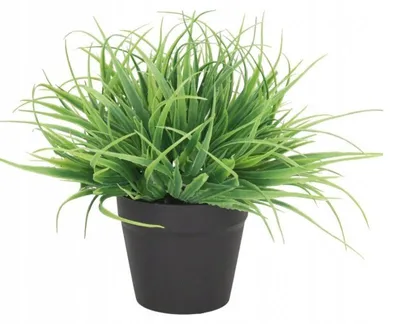Produktbild von Künstliche Pflanze im Topf, Blumen, 17 cm