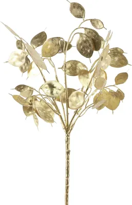 Produktbild von Countryfield Lunaria Kunstlicher Blumenzweig - Metallic Gold - 40 cm
