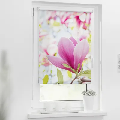 Produktbild von Rollo Klemmfix, ohne Bohren, blickdicht, Magnolie - Rosa 60 x 150 cm (B x L)