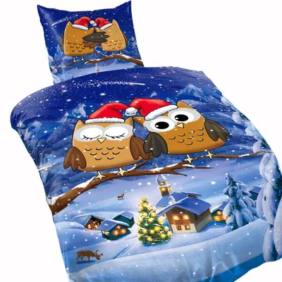 Produktbild von Bettwäsche Set Thermofleece Mikrofaser 135x200 cm, 80x80 cm Winter, Blau, Winterliches Eulen Design