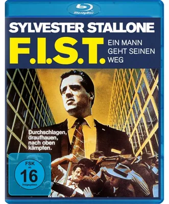 Produktbild von F.I.S.T. - Ein Mann geht seinen Weg