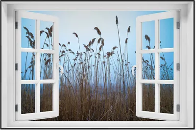Produktbild von Wallario Wandbild mit Fenster-Illusion: Schilfrohr am See vor blauem Himmel, Größe: 61 x 91,5 cm, Poster mit schwarzem Aluminiumrahmen