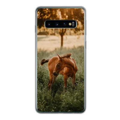 Produktbild von MuchoWow® Handyhülle Schutzhülle Hülle für Samsung Galaxy S10 Pferd - Gras - Baum Silikon Softcase Handy Hülle - Handytasche