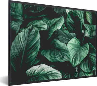 Produktbild von MuchoWow® Gerahmtes Poster Dschungel - Blätter - Tropisch - Pflanzen - Natur 80x60 cm - Poster mit Schwarzem Bilderrahmen Wandposter Rahmen Foto Bilder - Schwarzem - Mit Gestell