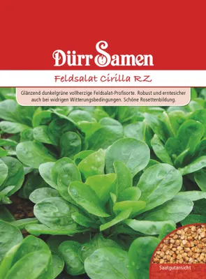 Produktbild von Dürr-Samen - Feldsalat Cirilla RZ - Saatgut - 1907