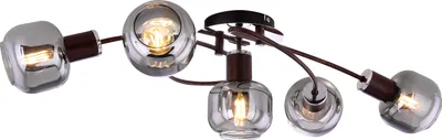 A modern ceiling light with five glass shades and metal accents.