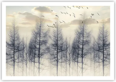 Produktbild von Poster - Poster ohne Rahmen - Bäume Vögel Himmel - 100x70 cm - Wand Bild - Wanddeko - Wandbilder - Kunstposter - Wandposter - Bilder - Kunstdruck - Wanddekoration - Wandbild - P2XAA100x70-4546