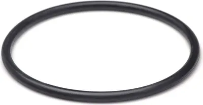 Zdjęcie produktu dla Część zamienna SunSun do odstojnika CUV-172 - O-ring 2 - do filtrów stawowych, lamp UV, akcesoriów do odstojników UVC