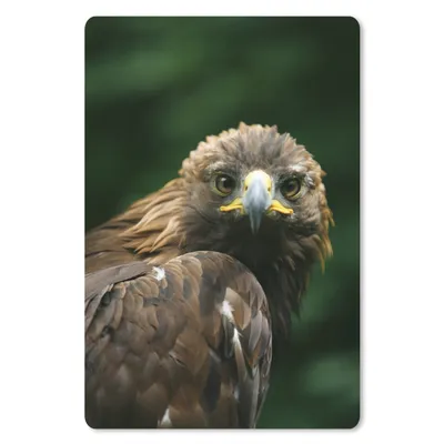 Produktbild von MuchoWow® Mauspad Mousepad Adler - Braun - Raubvogel 18x27 cm - Mousepads - Maus Mat - Pad - Mausunterlage