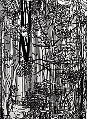 Immagine prodotto di Foresta di libri