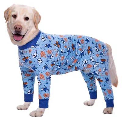 Produktbild von Solidchoice – Elastischer Hundebody für große Hunde mit Wundschutz