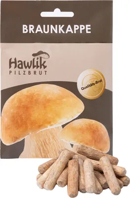 Produktbild von Hawlik Pilzbrut Braunkappe Dübel – 20 Pilzdübel auf Stroh, Kulturträuschling Pilze züchten Freiland