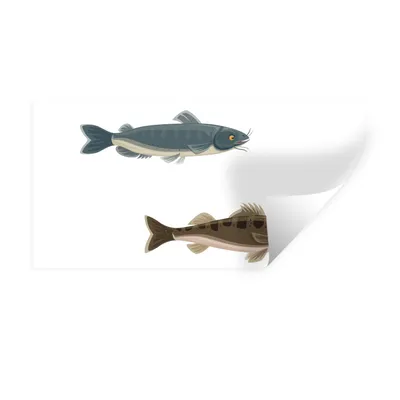 Produktbild von MuchoWow® Wandtattoo Wandsticker Wandaufkleber Eine Illustration von sechs farbigen Fischen 40x20 cm Selbstklebend und Repositionierbar - Aufkleber