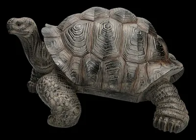 Produktbild von Gartenfigur Schildkröte - Lebensecht XL - Tierstatue, Terrassen Deko, Gartenteich - L 48 cm