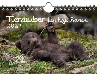 Produktbild von Tierzauber Lustige Bären DIN A5 Kalender für 2027 Bären - Seelenzauber