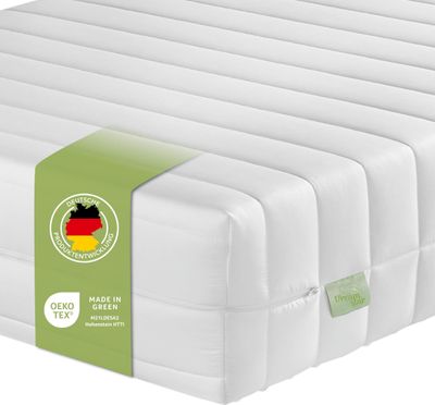 Komfortable 7-Zonen Kaltschaummatratze | 120 x 200 cm | 21cm | H2 & H3 | ergonomisch | DREAMSTAR Easy Flex
