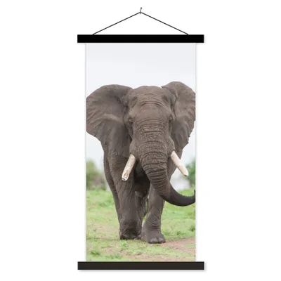 Produktbild von MuchoWow® Textilposter Elefant - Tiere - Gras - Natur 90x180 cm mit schwarzem Rahmen - Dekoration Wohnzimmer