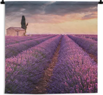 Produktbild von MuchoWow® Wandteppich Wandbehang Lavendel - Blumen - Lila - Feld 90x90 cm Tapisserie Dekoration Wandtuch - Wandaufhänger