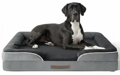 Produktbild von Homeblend Orthopädisches Hundebett 106 x 81 cm – Egg-Foam-Matratze, Hundesofa mit Rand, abnehmbarer Bezug, waschbar, Grau (XL)