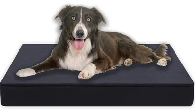Produktbild von Orthopädisches Hundekissen, 80 x 60 cm, Grau, mit 8 cm dickem Schaumkern