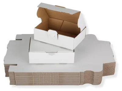 Produktbild von Maxibriefkarton DIN A6 - 160 x 110 x 50 mm / DHL Kleinpaket, weiß 40 Stück