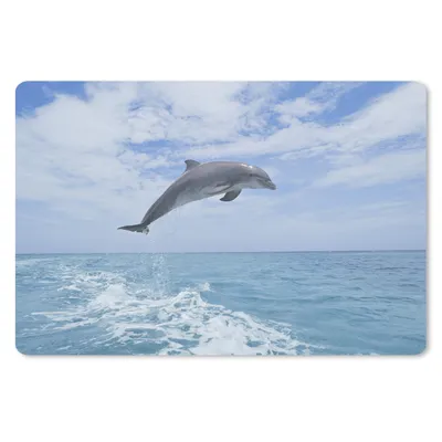 Produktbild von MuchoWow® Mauspad Mousepad Delfin - Meer - Himmel 27x18 cm - Mousepads - Maus Mat - Pad - Mausunterlage - Büroartikel - Desk Matten