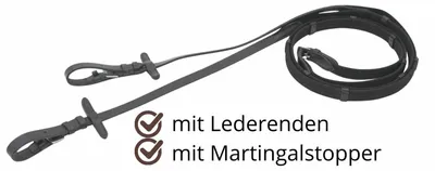 Produktbild von Gurtzügel mit Stegen, silberfarbene Schnallen in Schwarz