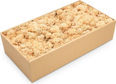 Produktbild von Islandmoos 500g in 30 Farben – Konserviertes Rentiermoos Natur, Farbe:Pfirsich