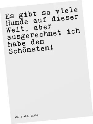 Produktbild von Mr. & Mrs. Panda Postkarte Es gibt so viele... - Weiß - Geschenk, Herz, Postkarten, Ansichtskarte, Frauchen, Hund, Sprüche, Tier, Fotokarte, Grußkarte, bildkarte