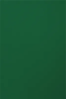 Produktbild von Tonpapier, 50 x 70 cm, 130g/m² Tannengrün