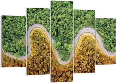 Produktbild von Bild auf Leinwand - Leinwandbild - 5 Teile - Luftaufnahmen Weg Wald - 150x100cm - Wand Bild - Wanddeko - Wandbilder - Leinwanddruck - Bilder - Wanddekoration - Leinwand bilder - EA150x100-4659