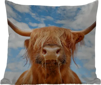 Produktbild von MuchoWow® Outdoor Kissen - Schottisches Hochlandrind - Wolke - Tiere - 60x60 cm - Wetterfest - Lounge Kissen - Dekoration - Schlaf Kissen