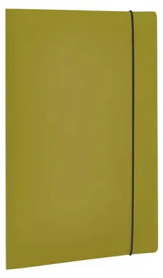 Immagine prodotto di Fellowes Cartellina 3 Lembi Holos Con Elastico A4 Verde In Polipropilene Riciclato
