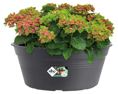 Obrázek produktu pro elho green basics bowl 33cm, Květináč, Volně stojící, Polypropylen (PP), Černá, Kulatý, Venkovní