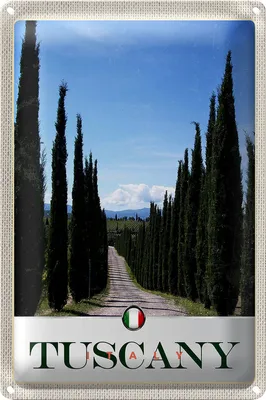 Produktbild von Blechschild Reise 20x30cm Toskana Italien Allee Weg Schild