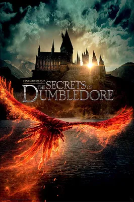 Productafbeelding van Fantastic Beasts - De Geheimtissen van Dumbledore - Teaser - Poster, 61x91,5 cm
