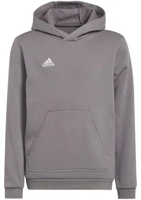 Produktbild von Adidas - "Entrada 22" Kapuzenpullover für Kinder MR429 (128) (Grau/Silber)