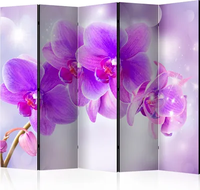 Produktbild von Akusticher Raumteiler Orchidee Foto Paravent 225x172 cm beidseitig auf Vlies-Leinwand bedruckt Akustikschaum Trennwand Spanische Wand Sichtschutz Home Office Blumen Natur Botanik b-B-0258-z-c