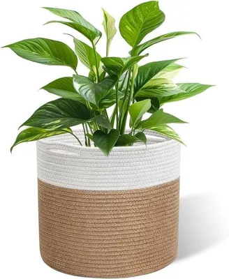 Immagine prodotto di Cestino in cotone intrecciato 20x20 cm per il soggiorno