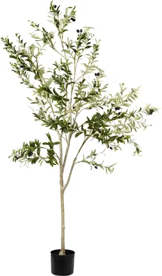 Obrázok produktu pre BELIANI Umelá rastlina olivovník v kvetináči zelená a čierna plast 178 cm ozdobné interiérové doplnky