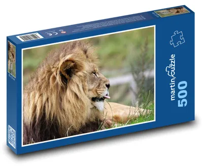 Obrázok produktu pre martinpuzzle – Puzzle 500 – Král savany (alebo: Lev, král savany)