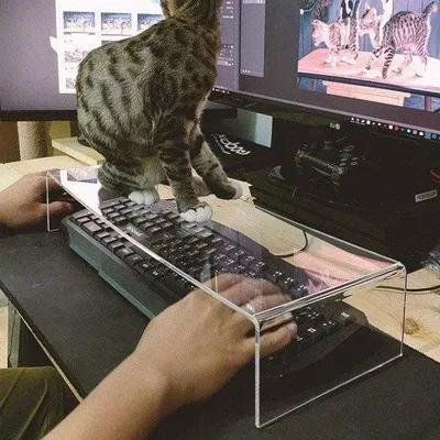Obrázek produktu pro Ochrana klávesnice proti kočkám s akrylovým potahem a stojanem na monitor.