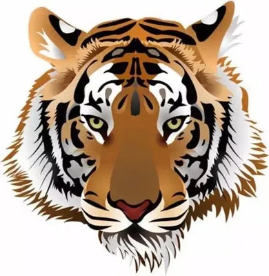 Produktbild von Tiger Pranja Tiger-Bügelanwendung