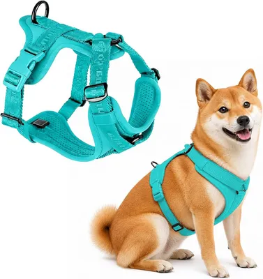 Imagen del producto de Arnés para perros ajustable, con malla transpirable, talla XS, para perros pequeños