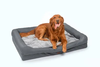 Produktbild von Hundebett orthopädisch waschbar rutschfest große Hunde, Schlafplatz Hundesofa Dunkelgrau, 120x90x10cm