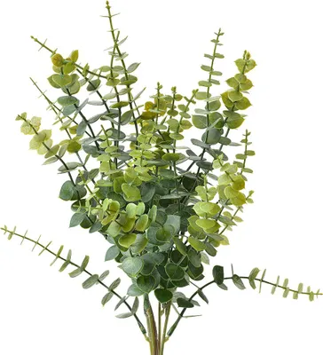 Immagine prodotto di Pianta artificiale Clayre & Eef 46 cm plastica verde