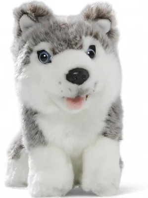 Produktbild von Carl Dick Husky sitzend ca. 19cm 2887 Kuscheltier, Plüschtier, Stofftier