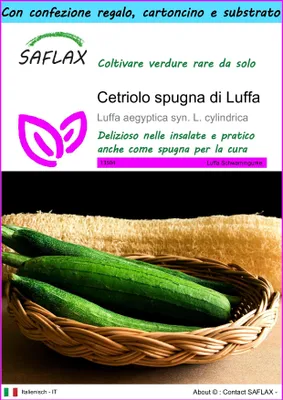 Immagine prodotto di SAFLAX Set regalo - Cetriolo spugna di Luffa - 10 semi - Luffa